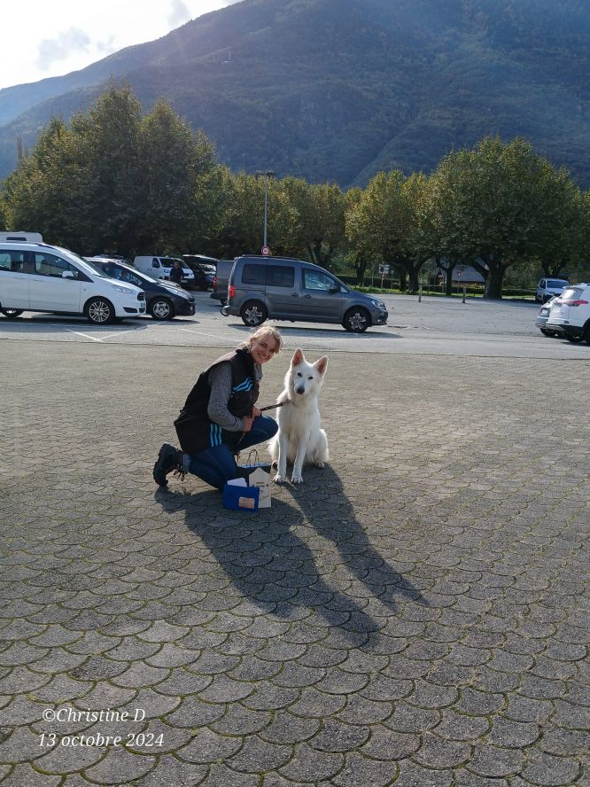 Résultats du Berger Blanc Suisse en sauvetage