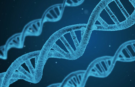 Tests ADN de santé