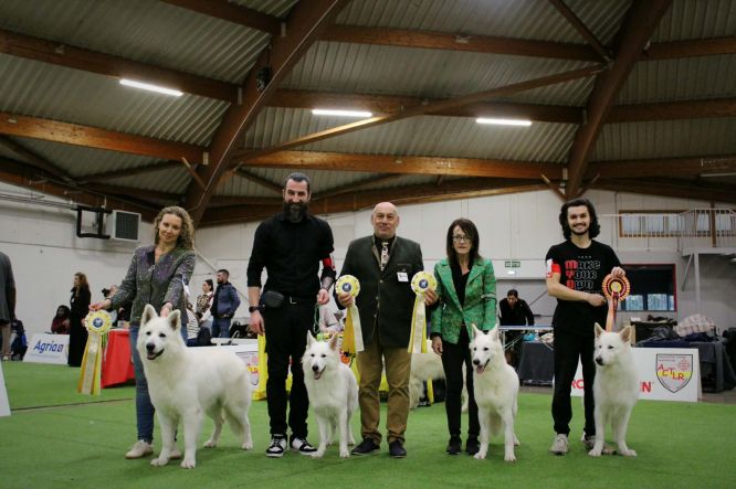 ~ Spéciale de Race de PERPIGNAN ~ CACIB ~ 18/01/2026