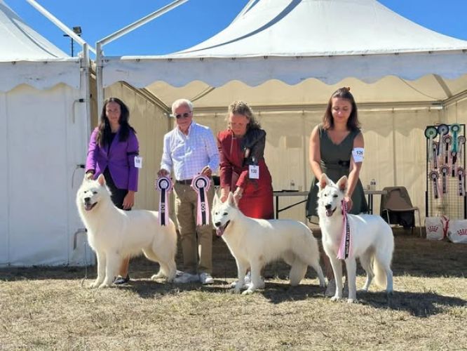 ✨ Spéciale de Race TOULOUSE - CACIB 12/09/2026 ✨